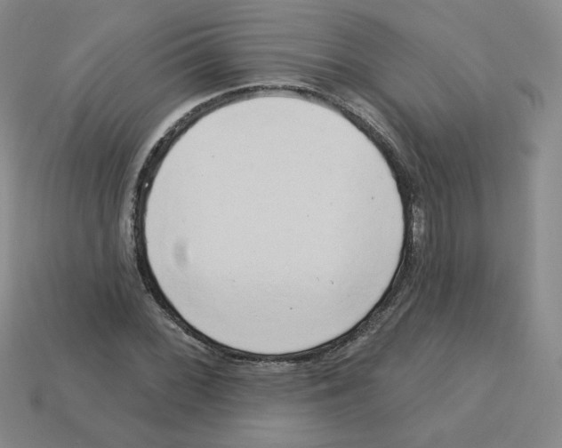 X0000113301068200910131042