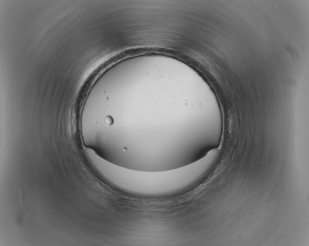 X0000113301069200910131042