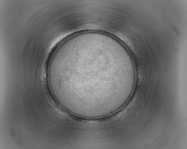 X0000113301070200910131042