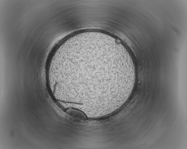 X0000113301072200910131042