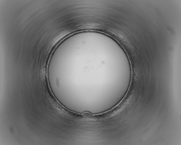 X0000113301073200910131042