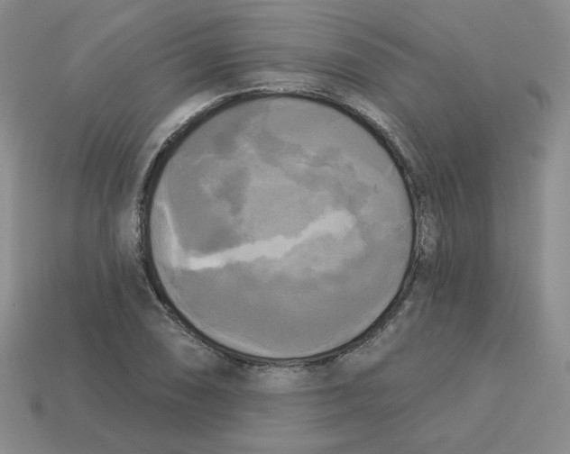 X0000113301074200910131042