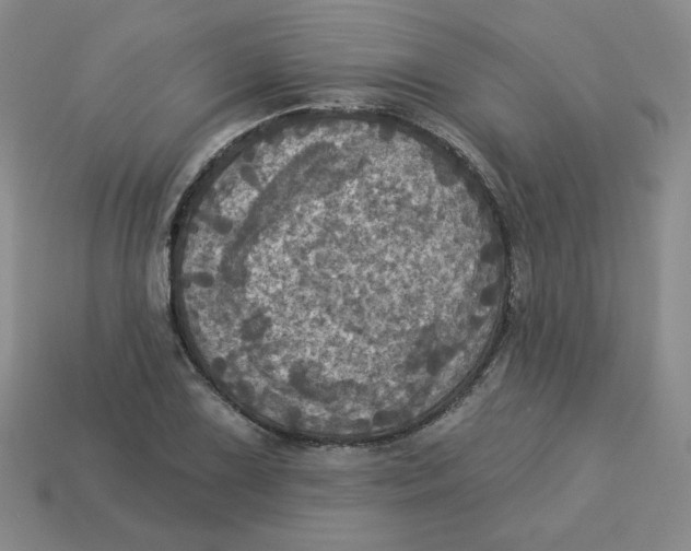 X0000113301075200910131042