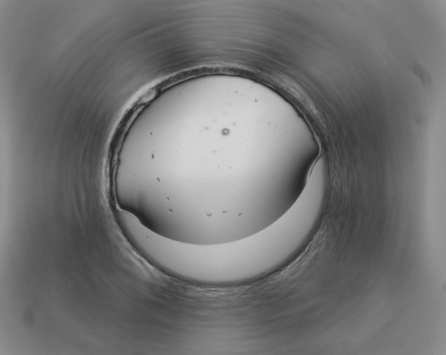 X0000113301076200910131042