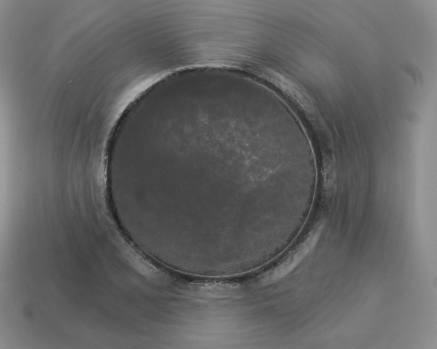X0000113301077200910131042