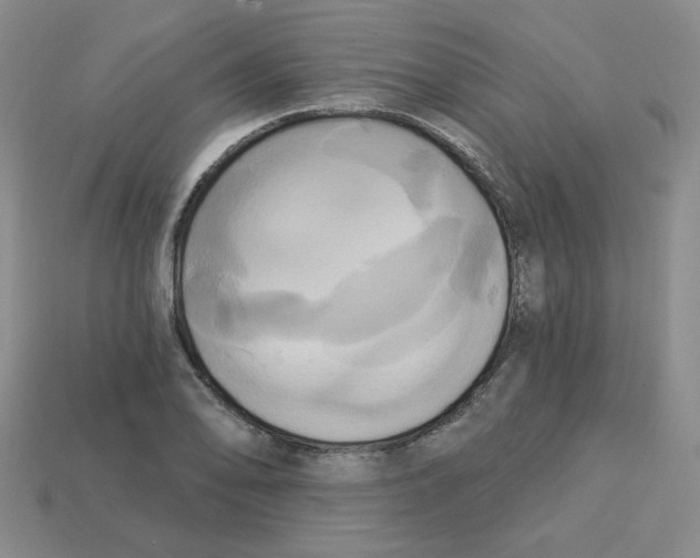 X0000113301078200910131042