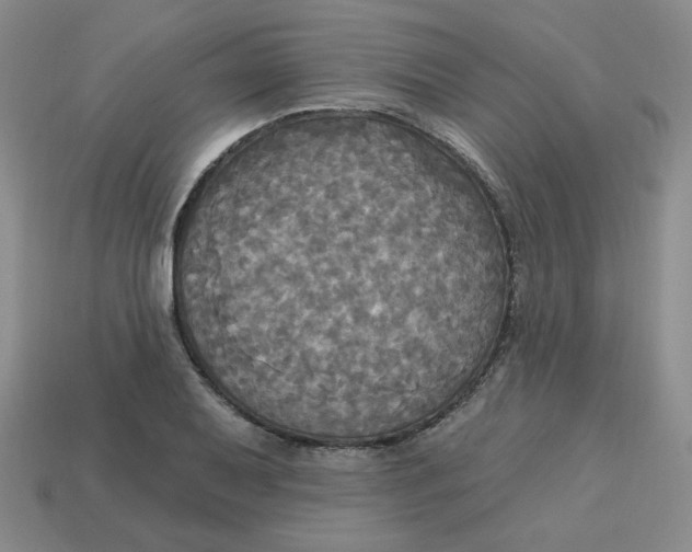 X0000113301079200910131042