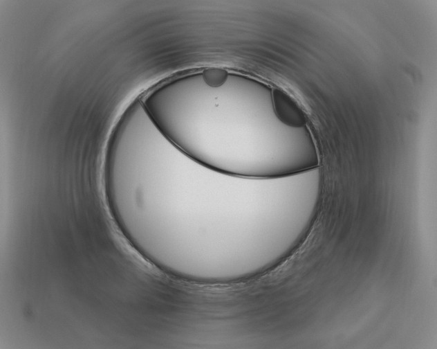 X0000113301080200910131042
