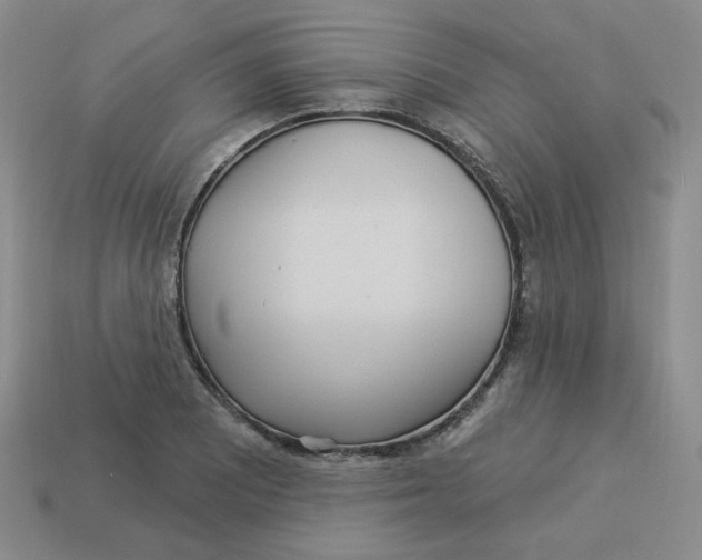 X0000113301081200910131042