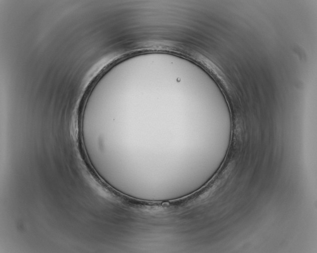 X0000113301082200910131042