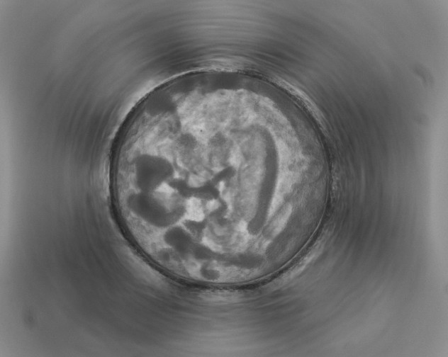 X0000113301083200910131042