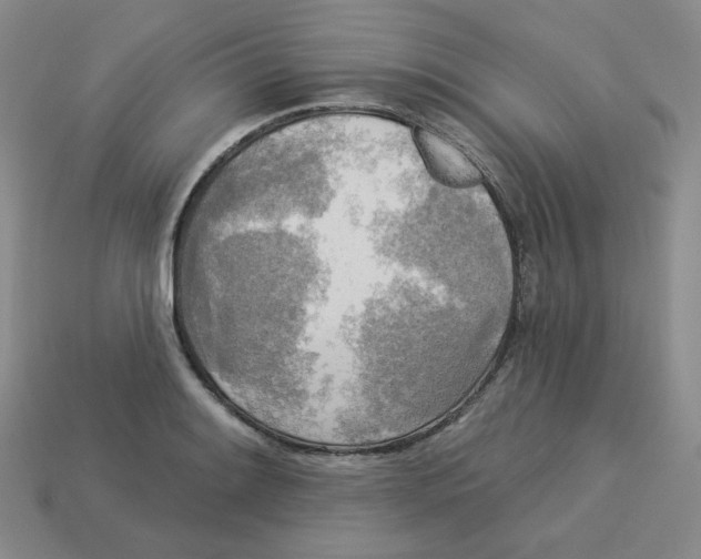 X0000113301084200910131042