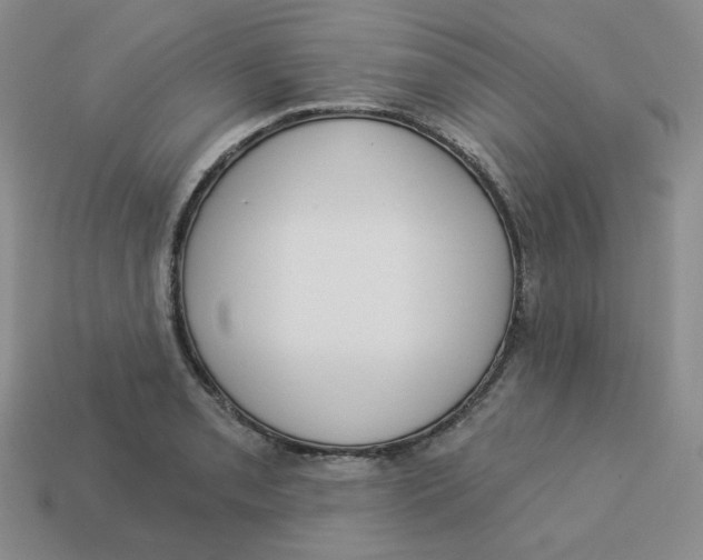 X0000113301085200910131042