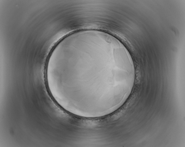X0000113301086200910131042