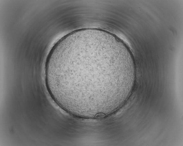 X0000113301088200910131042