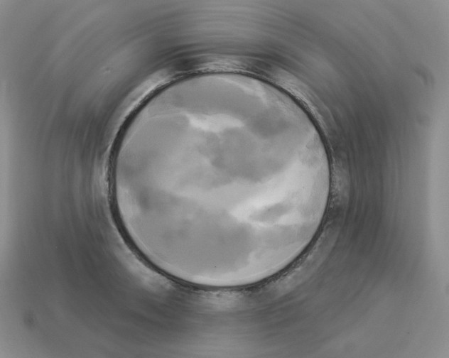 X0000113301090200910131042