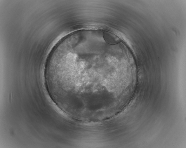 X0000113301091200910131042