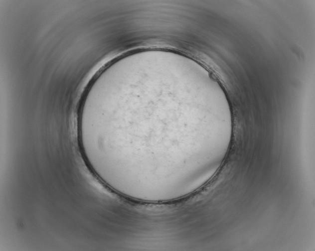 X0000113301092200910131042
