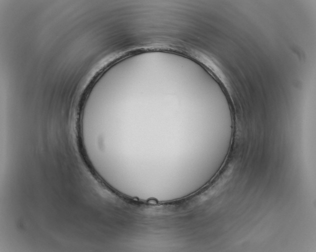 X0000113301093200910131042