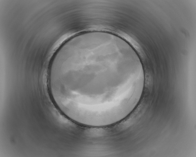 X0000113301094200910131042