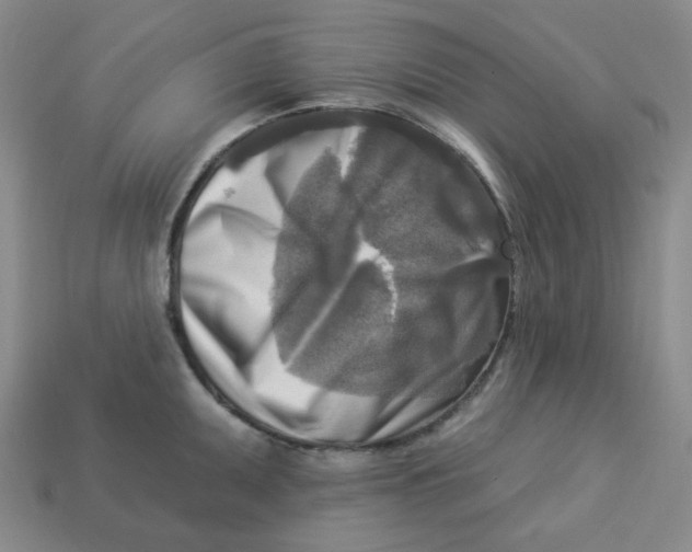 X0000113301095200910131042
