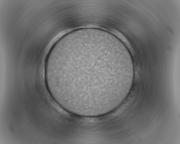 X0000113301096200910131042