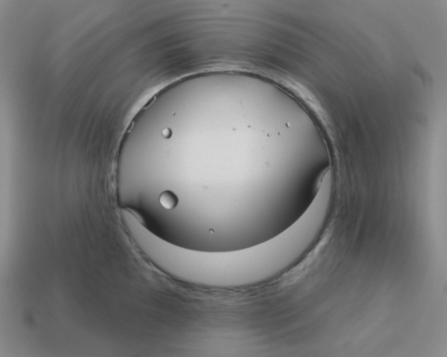 X0000113301097200910131042