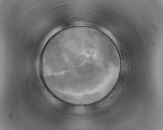 X0000113301098200910131042