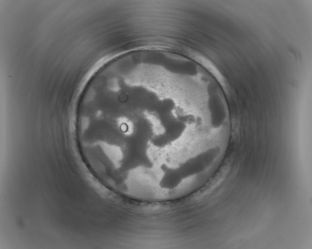 X0000113301099200910131042