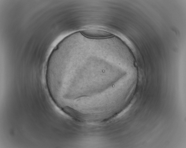 X0000113301102200910131042
