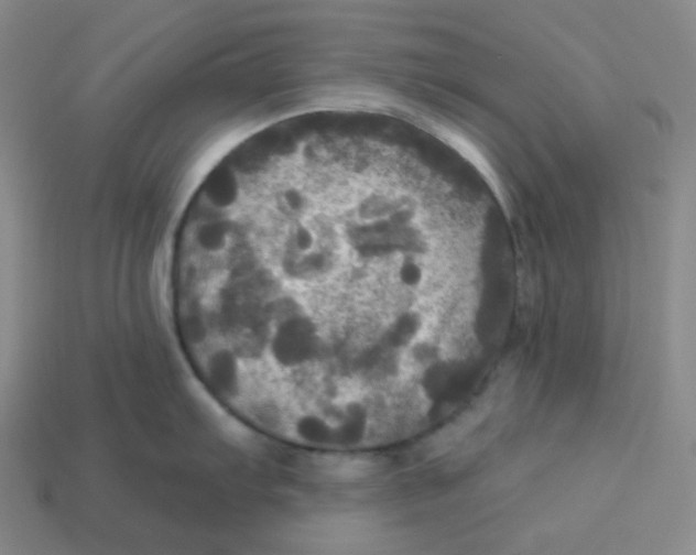 X0000113301103200910131042
