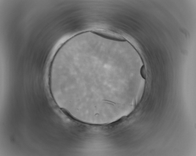 X0000113301104200910131042