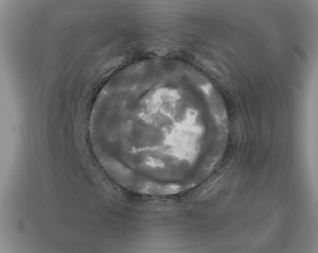 X0000113301105200910131041