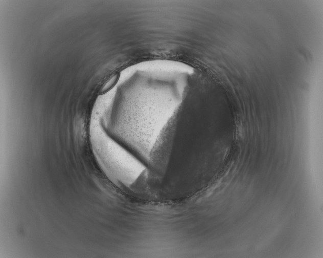 X0000113301106200910131041