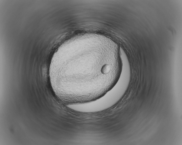 X0000113301108200910131041