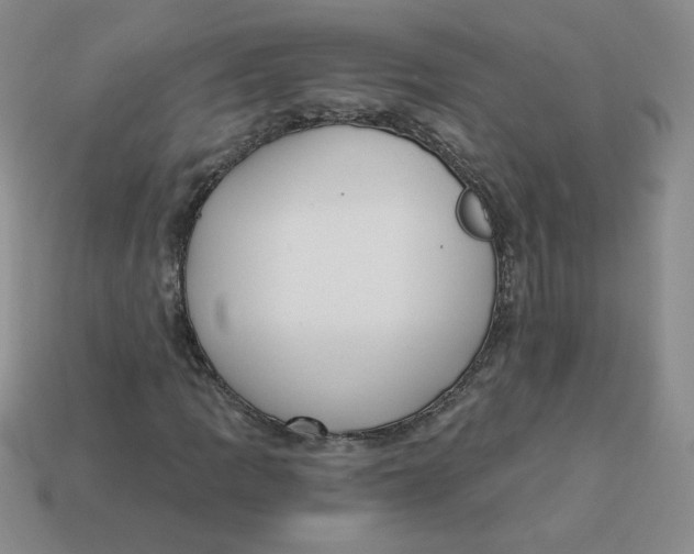 X0000113301109200910131041