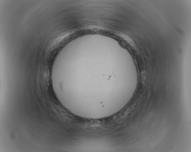 X0000113301111200910131041