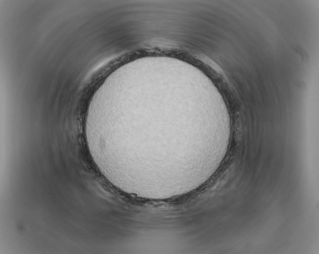 X0000113301112200910131041