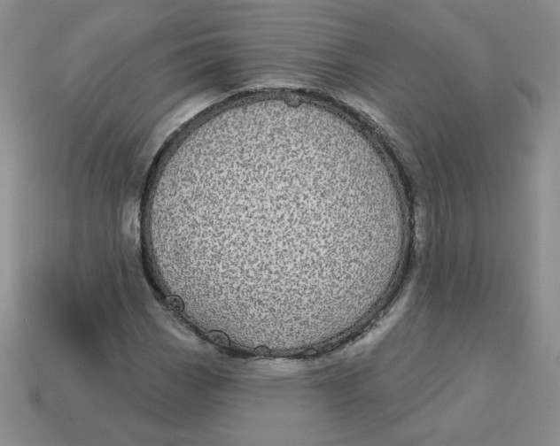 X0000113301113200910131041