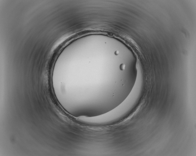X0000113301114200910131041