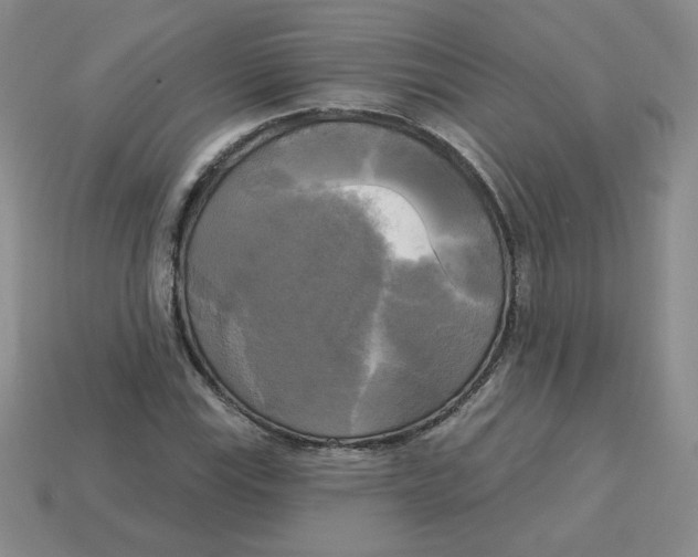 X0000113301115200910131041