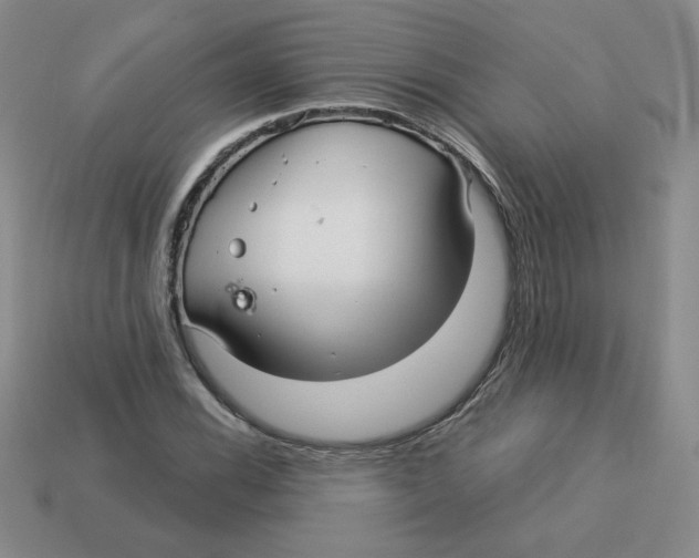 X0000113301116200910131041