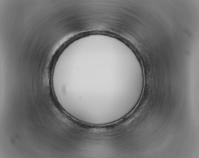 X0000113301118200910131042