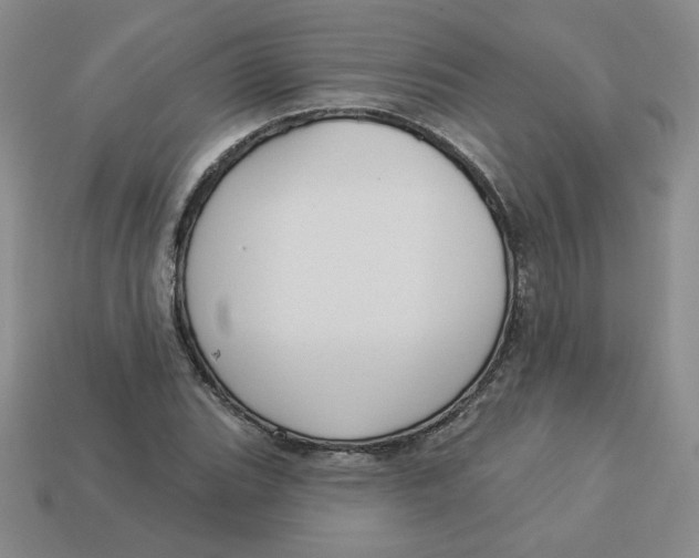 X0000113301119200910131042
