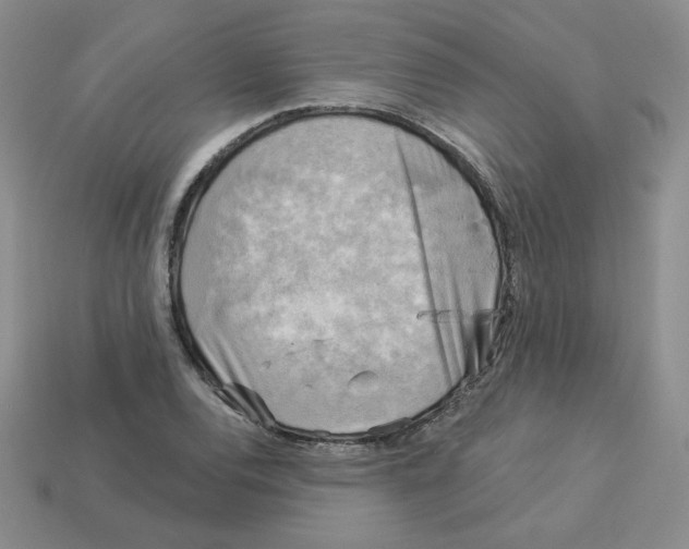 X0000113301120200910131042