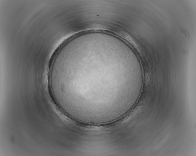 X0000113301124200910131042