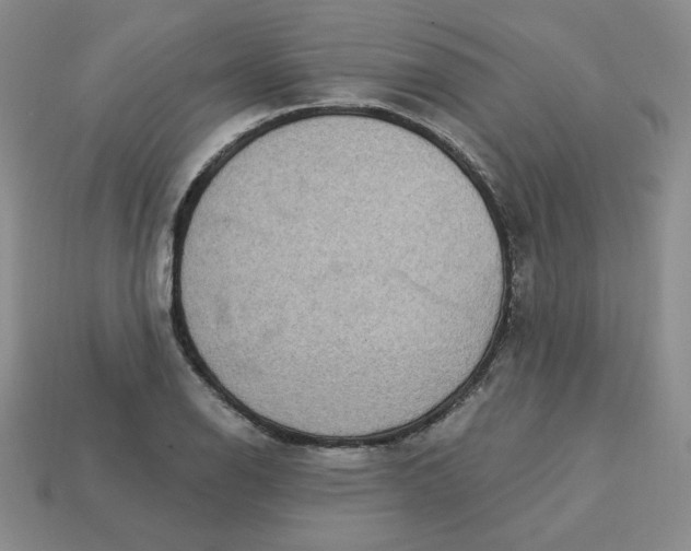 X0000113301126200910131042