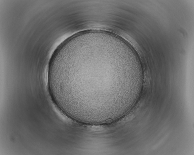X0000113301128200910131042