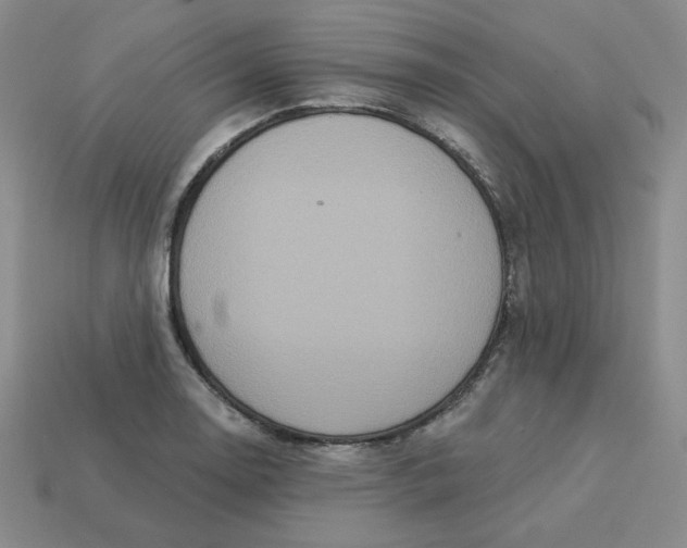 X0000113301130200910131042