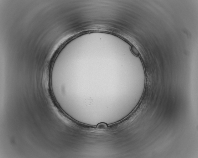 X0000113301131200910131042